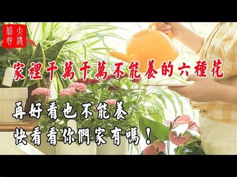 櫻花樹 風水|為何今年櫻花種植成風水熱門？